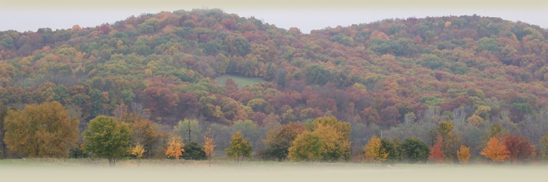 Pike County History - Fall foliage